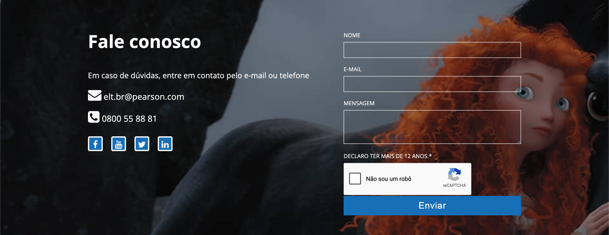 Fale Conosco